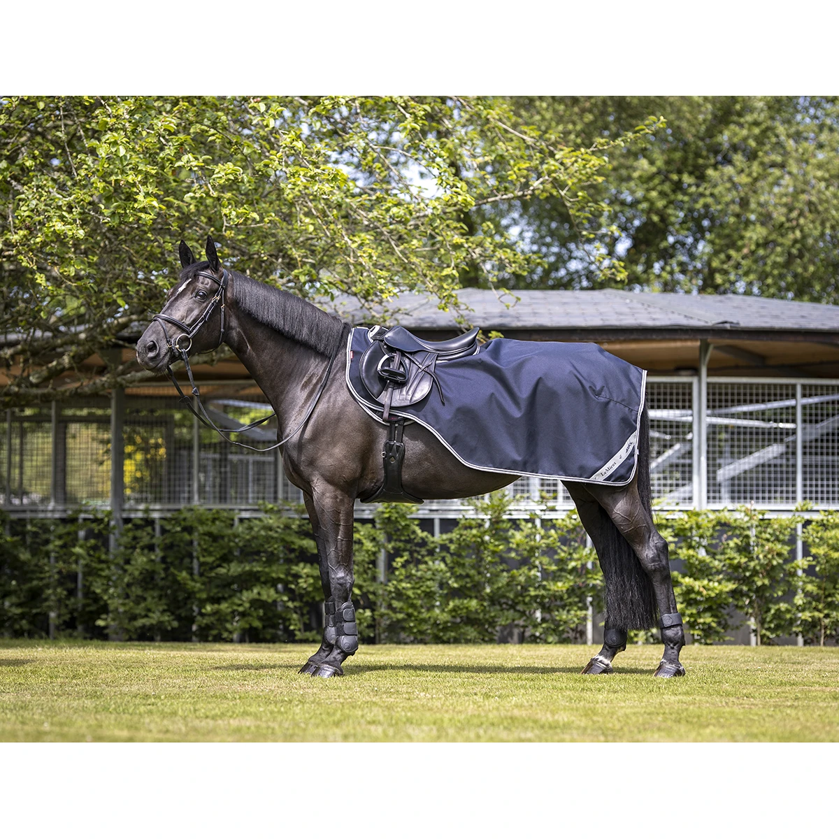 Uitrijdeken LeMieux Arika Donkerblauw 2 Uitrijdeken LeMieux Arika Donkerblauw - Afbeelding 2