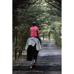 Uitrijdeken WeatherBeeta Reflective Zwart-zilver -Default Template 3 uitrijdeken weatherbeeta reflective zwart zilver 1500x1500 135298