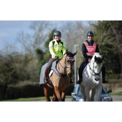 Uitrijdeken WeatherBeeta Reflective Zwart-zilver -Default Template 3 uitrijdeken weatherbeeta reflective zwart zilver 1500x1500 135299