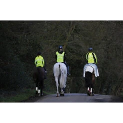 Uitrijdeken WeatherBeeta Reflective Zwart-zilver -Default Template 3 uitrijdeken weatherbeeta reflective zwart zilver 1500x1500 135300