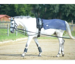 Vliegen Uitrijdeken Busse Longeer Donkerblauw -Default Template 3 vliegen uitrijdeken busse longeer donkerblauw 1500x1500 125707