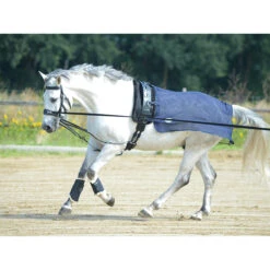 Vliegen Uitrijdeken Busse Longeer Donkerblauw -Default Template 3 vliegen uitrijdeken busse longeer donkerblauw 1500x1500 125708