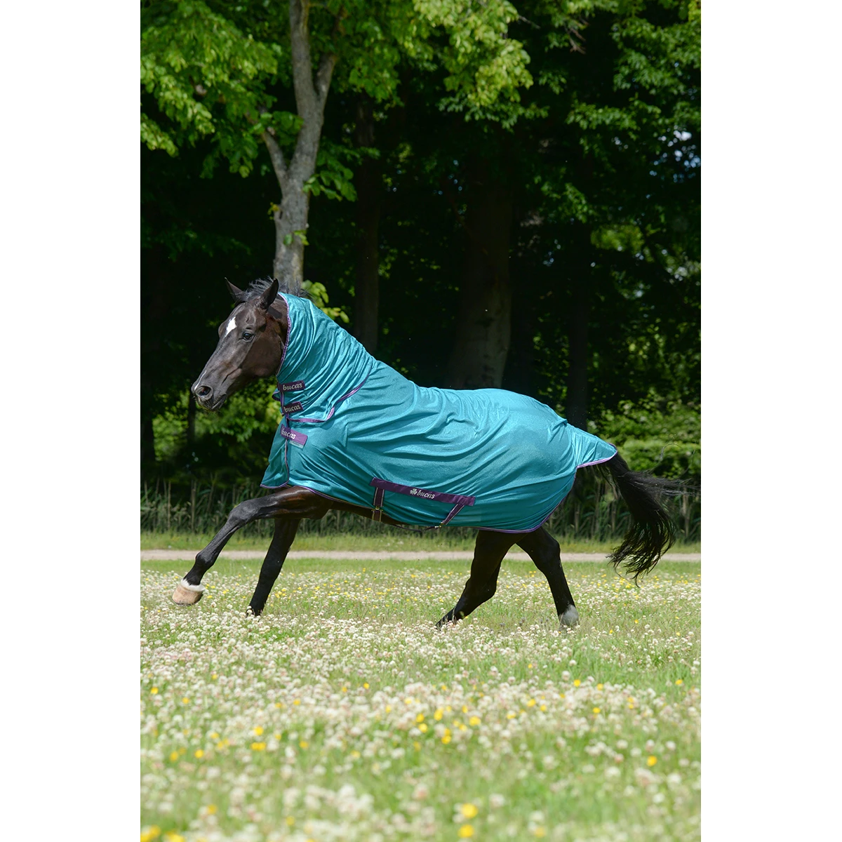 Vliegendeken Bucas Freedom Fly Sheet Groen 2 Vliegendeken Bucas Freedom Fly Sheet Groen - Afbeelding 2