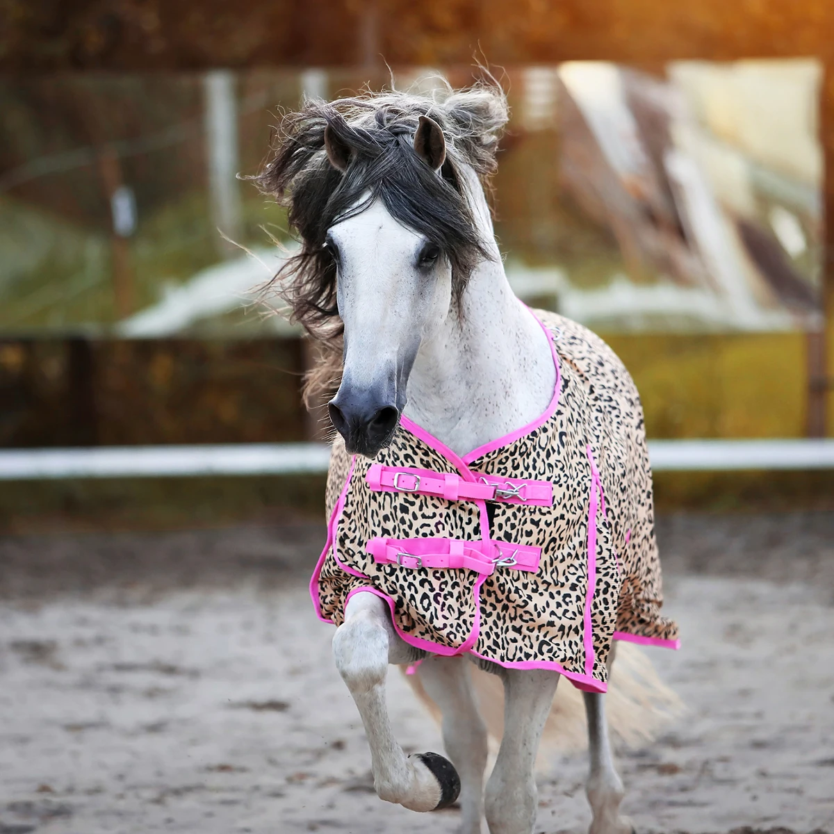 Vliegendeken Epplejeck EJLeopard Fancy Junior Bruin-roze 4 Vliegendeken Epplejeck EJLeopard Fancy Junior Bruin-roze - Afbeelding 4