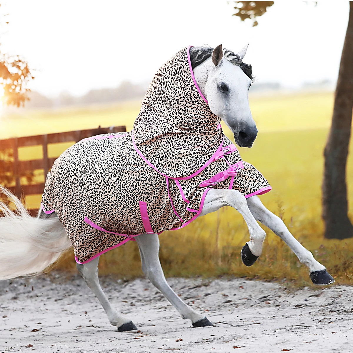 Vliegendeken Epplejeck EJLeopard Fancy Junior Bruin-roze 6 Vliegendeken Epplejeck EJLeopard Fancy Junior Bruin-roze - Afbeelding 6