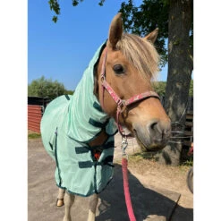 Vliegendeken Epplejeck Summertime Full Neck Lichtgroen-groen -Default Template 3 vliegendeken epplejeck summertime full neck lichtgroen groen 1500x1500 186949