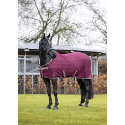 Vliegendeken LeMieux Arika Air-Tek Donkerrood -Default Template 3 vliegendeken lemieux arika air tek donkerrood 1500x1500 143313