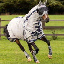 Vliegendeken LeMieux Kudos Gladiator Grijs 11 Vliegendeken LeMieux Kudos Gladiator Grijs -Default Template 3 vliegendeken lemieux kudos gladiator grijs 1500x1500 183662