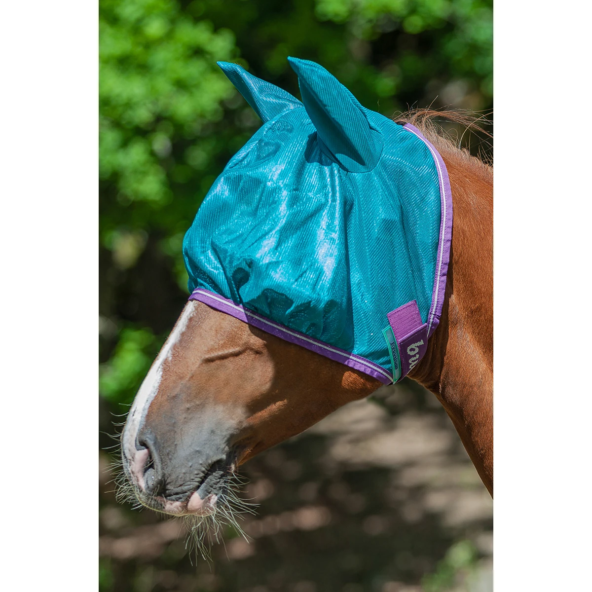 Vliegenmasker Bucas Freedom Groen 1 Vliegenmasker Bucas Freedom Groen