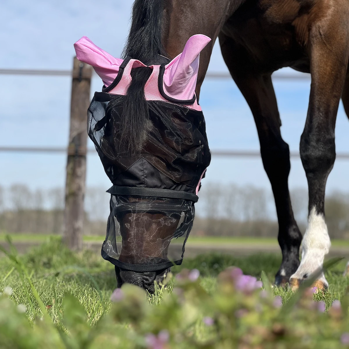 Vliegenmasker Horsegear Afneembare Neusflap Roze 5 Vliegenmasker Horsegear Afneembare Neusflap Roze - Afbeelding 5