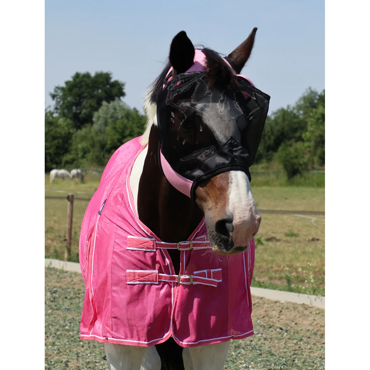 Vliegenmasker Horsegear Zonder Oren En Neus Roze 4 Vliegenmasker Horsegear Zonder Oren En Neus Roze - Afbeelding 4