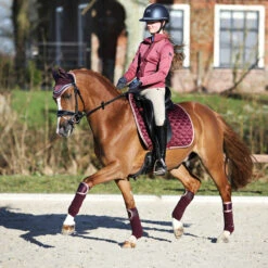 Zadeldek Horsegear Aurum Donkerrood -Default Template 3 zadeldek horsegear aurum donkerrood 1500x1500 139058