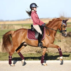 Zadeldek Horsegear Aurum Donkerrood -Default Template 3 zadeldek horsegear aurum donkerrood 1500x1500 139059