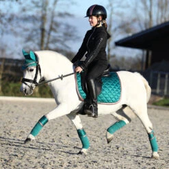 Zadeldek Horsegear Aurum Groen 14 Zadeldek Horsegear Aurum Groen -Default Template 3 zadeldek horsegear aurum groen 1500x1500 139066
