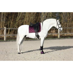 Zadeldek Horsegear Bayesa Donkerpaars -Default Template 3 zadeldek horsegear bayesa donkerpaars 1500x1500 179523