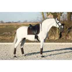 Zadeldek Horsegear Volant Donkerbruin 17 Zadeldek Horsegear Volant Donkerbruin -Default Template 3 zadeldek horsegear volant donkerbruin 1500x1500 143261