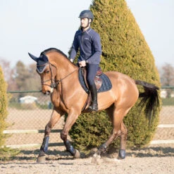 Zadeldek LeMieux Carbon Mesh Air Cc Square Donkerblauw 7 Zadeldek LeMieux Carbon Mesh Air Cc Square Donkerblauw -Default Template 3 zadeldek lemieux carbon mesh air cc square donkerblauw 1500x1500 123003