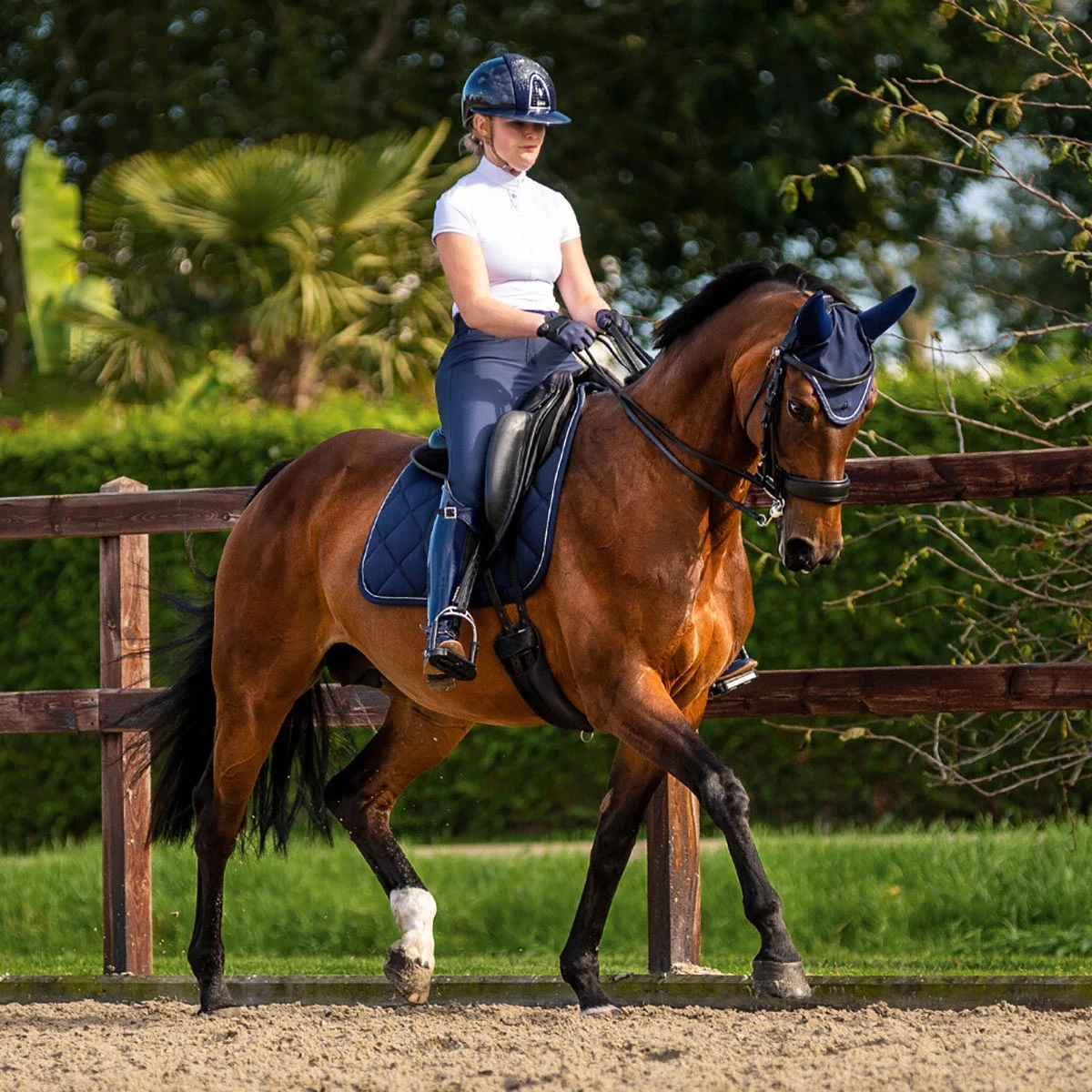 Zadeldek PresTeq PerformNow Donkerblauw 3 Zadeldek PresTeq PerformNow Donkerblauw - Afbeelding 3