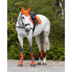 Zadeldek QHP Eldorado Oranje -Default Template 3 zadeldek qhp eldorado oranje 1500x1500 101844