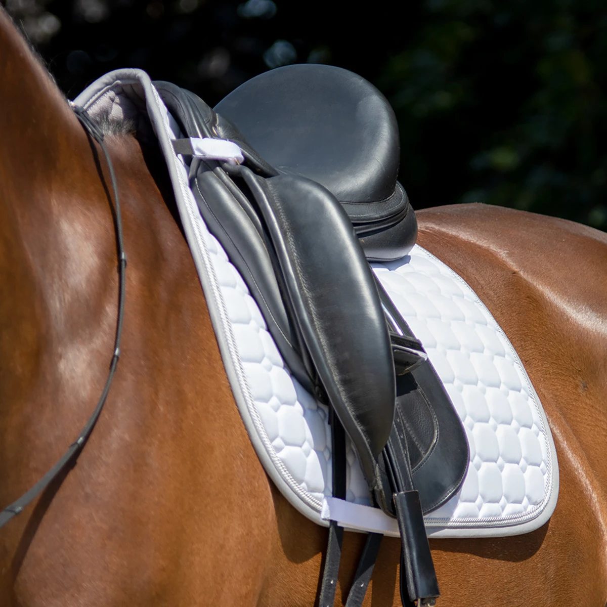 Zadeldek QHP Florence Wit 3 Zadeldek QHP Florence Wit - Afbeelding 3