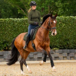 Zadeldek QHP Jorine Donkergroen -Default Template 3 zadeldek qhp jorine donkergroen 1500x1500 183268