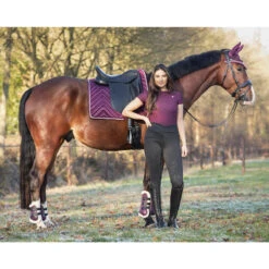 Zadeldek QHP Menton Paars -Default Template 3 zadeldek qhp menton paars 1500x1500 186386