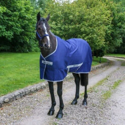 Zomerdeken Bucas Freedom Twill Sheet Blauw -Default Template 3 zomerdeken bucas freedom twill sheet blauw 1500x1500 98972