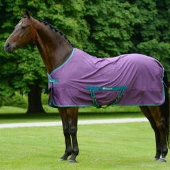 Zomerdeken Bucas Freedom Twill Sheet Paars -Default Template 3 zomerdeken bucas freedom twill sheet paars 1500x1500 174491