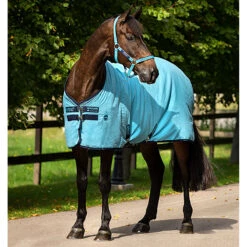 Zomerdeken Horseware Amigo Stable Blauw -Default Template 3 zomerdeken horseware amigo stable blauw 1500x1500 108448