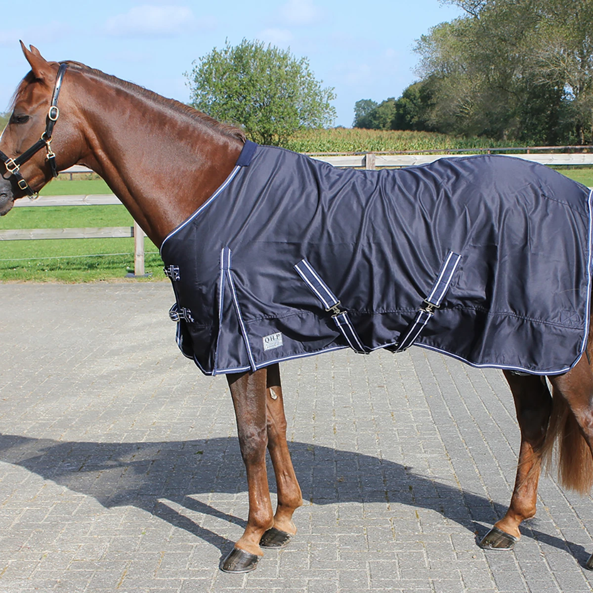 Zomerdeken QHP Basic Donkerblauw 1 Zomerdeken QHP Basic Donkerblauw