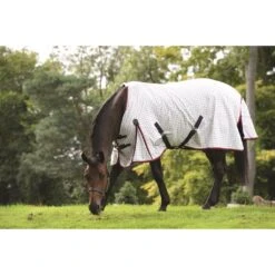 Zomerdeken WeatherBeeta Lite III Wit-donkerblauw 13 Zomerdeken WeatherBeeta Lite III Wit-donkerblauw -Default Template 3 zomerdeken weatherbeeta lite iii wit donkerblauw 1500x1500 135449