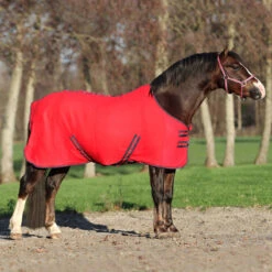 Zweetdeken Epplejeck Zafra Junior Rood 9 Zweetdeken Epplejeck Zafra Junior Rood -Default Template 3 zweetdeken epplejeck zafra junior rood 1500x1500 98299