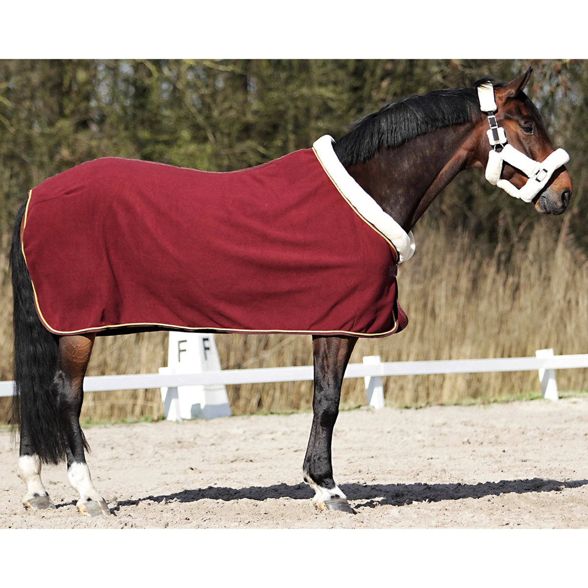 Zweetdeken Horsegear Allure Donkerrood 3 Zweetdeken Horsegear Allure Donkerrood - Afbeelding 3