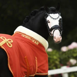 Zweetdeken Horsegear Lyx Middenoranje -Default Template 3 zweetdeken horsegear lyx middenoranje 1500x1500 172840