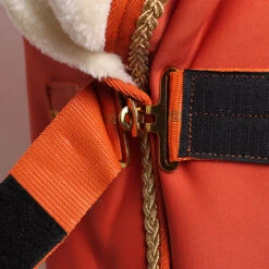 Zweetdeken Horsegear Lyx Mini Middenoranje -Default Template 3 zweetdeken horsegear lyx mini middenoranje 1500x1500 172857