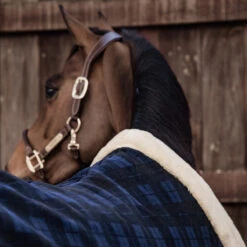 Zweetdeken Kentucky Show Heavy Blauw -Default Template 3 zweetdeken kentucky show heavy blauw 1500x1500 139871