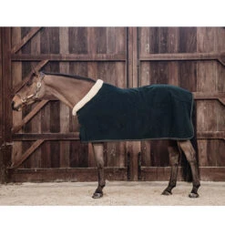 Zweetdeken Kentucky Show Heavy Donkergroen 9 Zweetdeken Kentucky Show Heavy Donkergroen -Default Template 3 zweetdeken kentucky show heavy donkergroen 1500x1500 139882