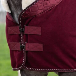 Zweetdeken QHP Brilliance Donkerrood -Default Template 3 zweetdeken qhp brilliance donkerrood 1500x1500 140723