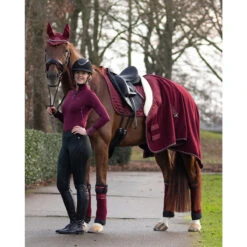 Zweetdeken QHP Brilliance Donkerrood -Default Template 3 zweetdeken qhp brilliance donkerrood 1500x1500 140726