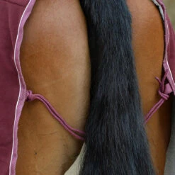 Zweetdeken WeatherBeeta Sherpa Fleece Donkerrood 10 Zweetdeken WeatherBeeta Sherpa Fleece Donkerrood -Default Template 3 zweetdeken weatherbeeta sherpa fleece donkerrood 1500x1500 135310